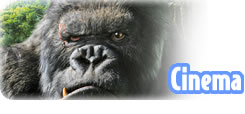 <div class=Note><a href=index.php?method=section&id=55 class=Note>Cinema</a></div>LULTIMO KING KONG