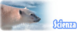 <div class=Note><a href=index.php?method=section&id=49 class=Note>Scienza</a></div>DA GHIACCIAI A GHIACCIOLI