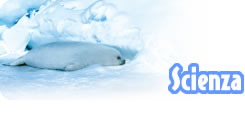<div class=Note><a href=index.php?method=section&id=49 class=Note>Scienza</a></div>Caccia alloro blu