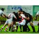 <div class=Note><a href=index.php?method=section&id=51 class=Note>Sport</a></div>Tifo da rugby